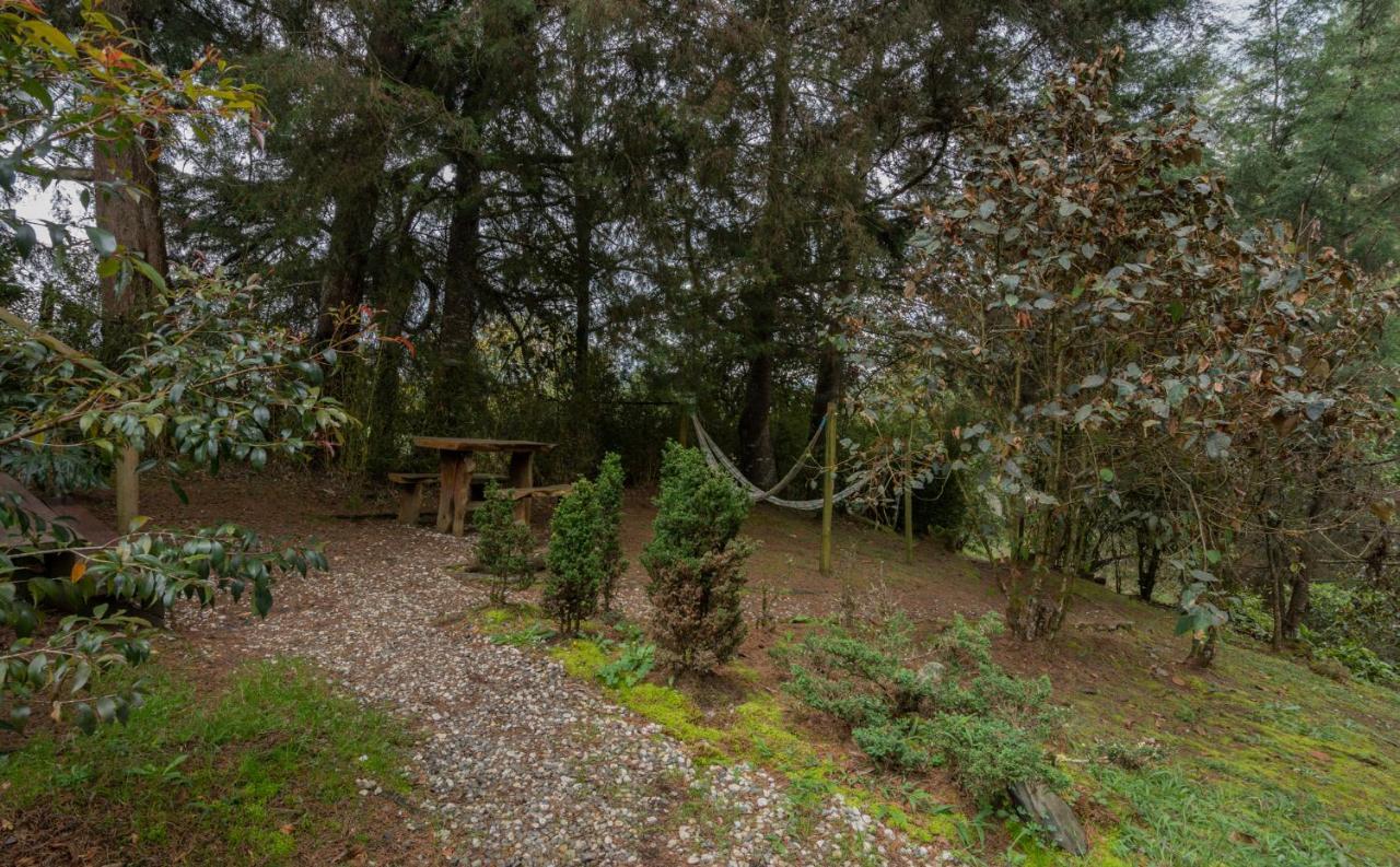 雷蒂罗 Bubblesky Glamping 40 Min From Medellin酒店 外观 照片